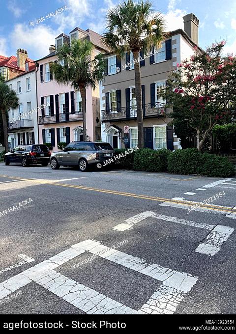 Charleston, South Carolina, Colonial era homes with palmettos and crosswalk