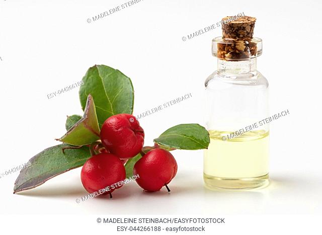 A bottle of essential oil with wintergreen leaves and berries on a white background
