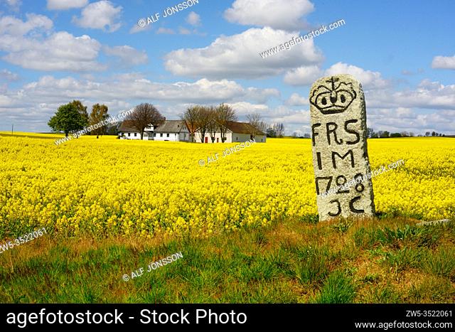 Mile stone at a field of rape with farms and trees in Sjörup, Scania, Sweden; Europe