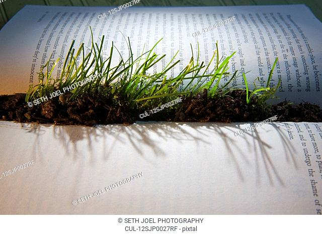 Grass sprouting from interior of book