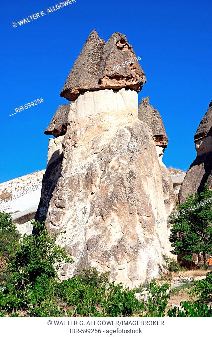 Tufa formations, Valley of the Monks (Pasabagi-Valley) near Goereme, Cappadocia, Anatolia, Turkey