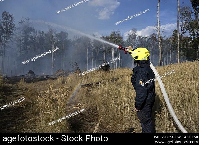 23 August 2022, Hessen, Raunheim: Firefighters fight a forest fire near Raunheim. The fire had broken out for as yet unknown reasons