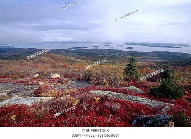 Aerial View of Bar Harbory from The Cadillac Mountain during Autumn, Mount Desert Island, Maine, USA