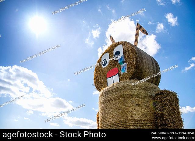 07 April 2020, Lower Saxony, Steinbrink: An Easter bunny made of straw with tears in his eyes is standing in a field. Due to the worldwide corona eruption