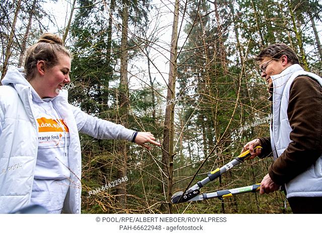 Prince Constantijn, member of the Dutch Royal Family, volunteering for people with disabilities at a Manege in Den Dolder, Netherlands, 11 March 2016