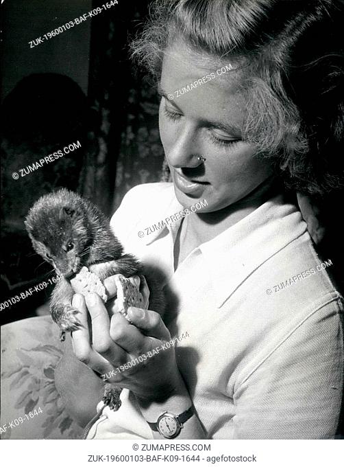 Feb. 24, 1950 - Every girl likes mink - but this one prefers them alive.: Every girl likes mink, and although Miss Nancy Hicks does too