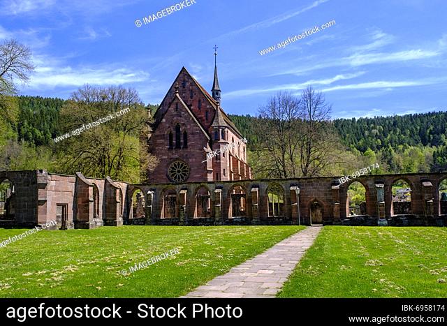 Hirsau Monastery, former monastery complex of St. Peter and Paul, Romanesque, near Calw, Black Forest, Baden-Württemberg, Germany, Europe