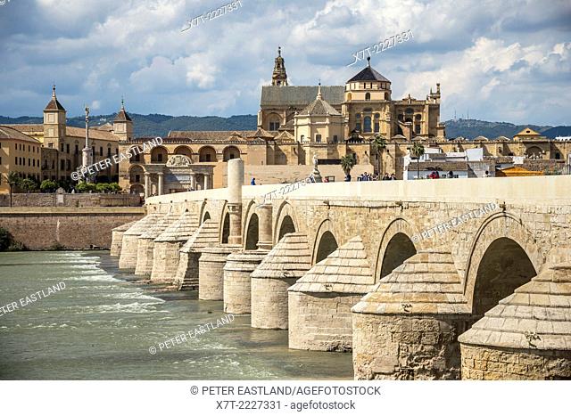 Looking across the Guadalquivir river and Roman bridge to the cathedral and historic centre of Cordoba, Andalucia, Spain