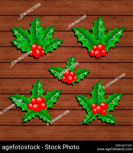 Illustration Christmas set holly berry branches on wooden background - vector