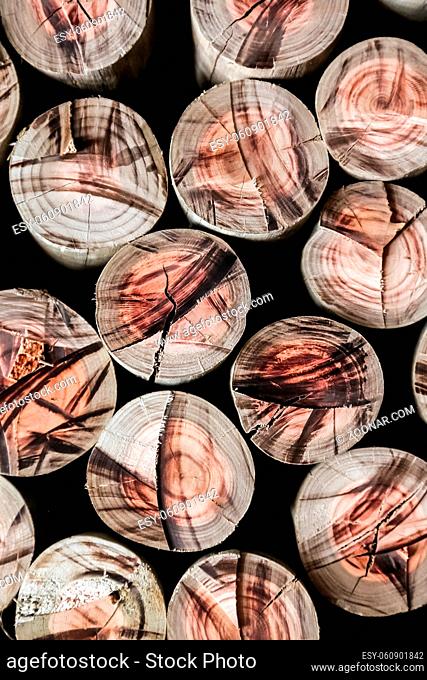 Pile of round chopped logs of wood texture pattern for design background