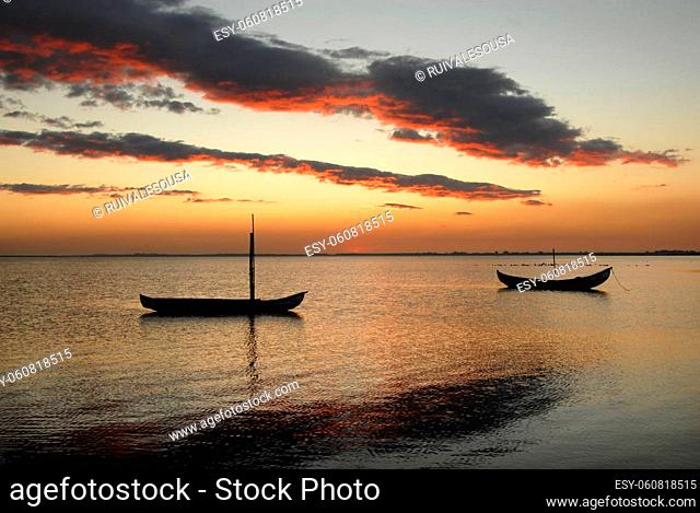 small moliceiro portuguese boats on the sunset