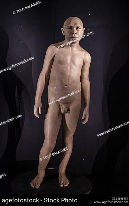 Homo antecessor, Museo de la evolución humana, MEH, Burgos , Spain