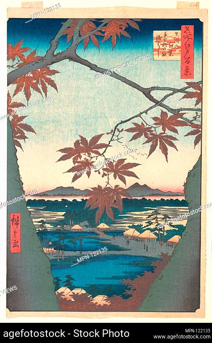 Maples at Mama, from the series One Hundred Famous Views of Edo. Artist: Utagawa Hiroshige (Japanese, Tokyo (Edo) 1797-1858 Tokyo (Edo)); Period: Edo period...