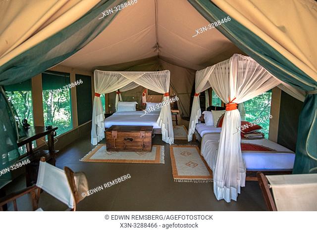 Interior of a luxurious tent cabin for tourist in Maasai Mara National Reserve, Kenya
