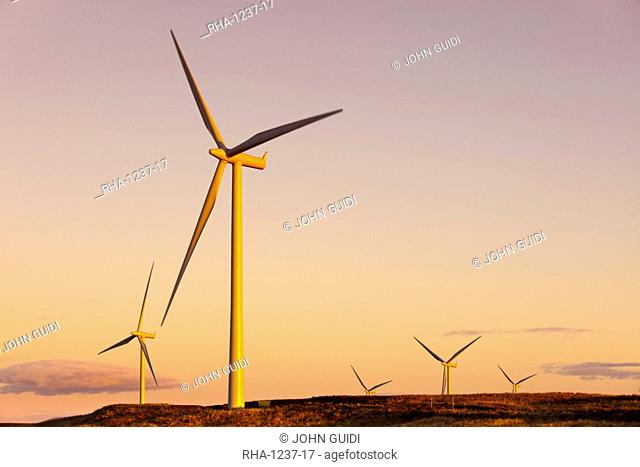 Wind turbines at sunset, Whitelee Wind Farm, East Renfrewshire, Scotland, United Kingdom, Europe