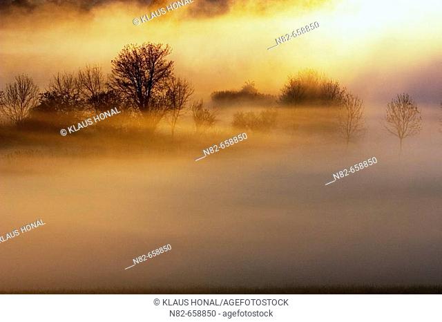 Sunrise in foggy morning at the woernitz (Wörnitz) river. A big screen of fog at the woernitz river, Middle Franconia, Bavaria/Germany