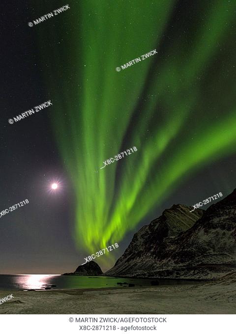 Northern Lights over Haukland Beach, island Vestvagoy. The Lofoten islands in northern Norway during winter. Europe, Scandinavia, Norway, February