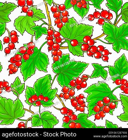 red currant branches vector pattern on white background