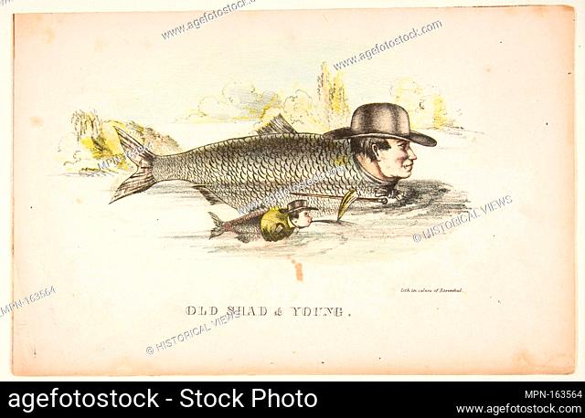Old Shad & Young, from The Comic Natural History of the Human Race. Artist: Henry Louis Stephens (American, Philadelphia, Pennsylvania 1824-1882 Bayonne