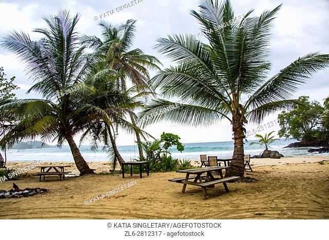 Beautiful beach. Isla Bastimentos, Bocas del toro, Panama