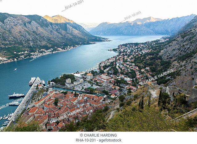 Kotor Old Town, marina and fortifications at dawn with view of the Bay of Kotor, UNESCO World Heritage Site, Montenegro, Europe