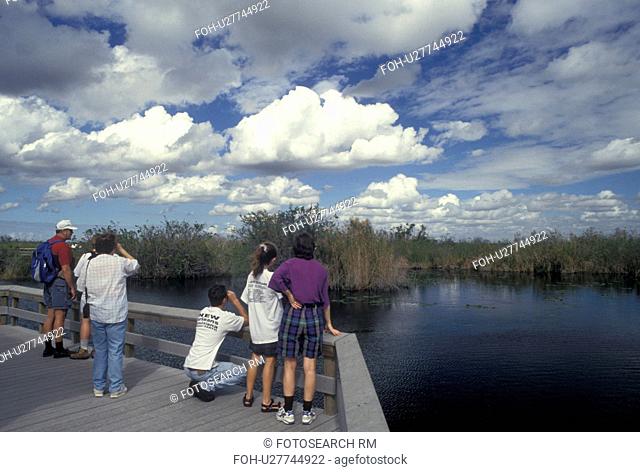 FL, Everglades Nat'l Park, Florida, People at overlook at Royal Palm on the Anhinga Trail in Everglades National Park
