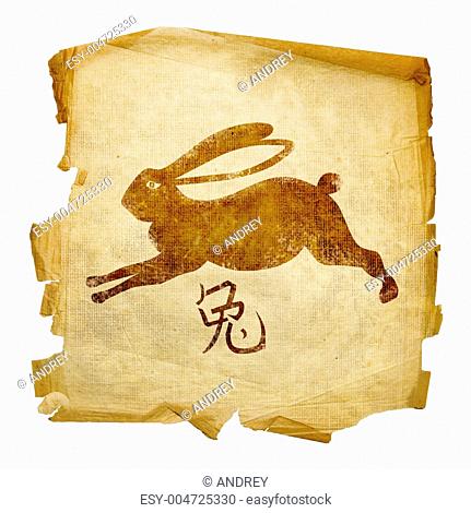 Rabbit Zodiac icon, isolated on white background