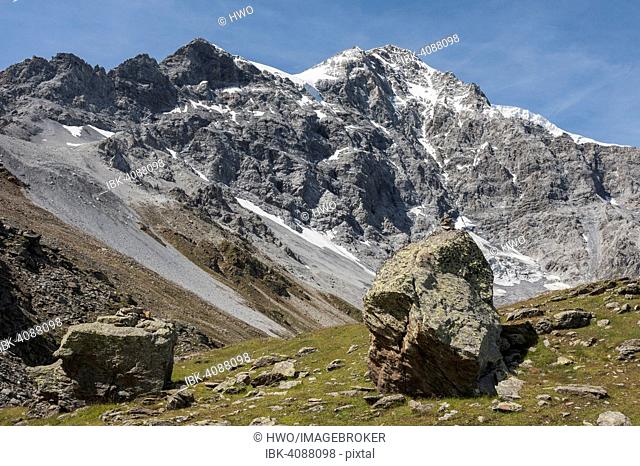 Ortler, 3905 m, from the Morosini Trail, trail No.3, next to it the Schückrinne, Marltgrat right, left Hintergrat, Solda, region of Trentino-Alto Adige, Italy