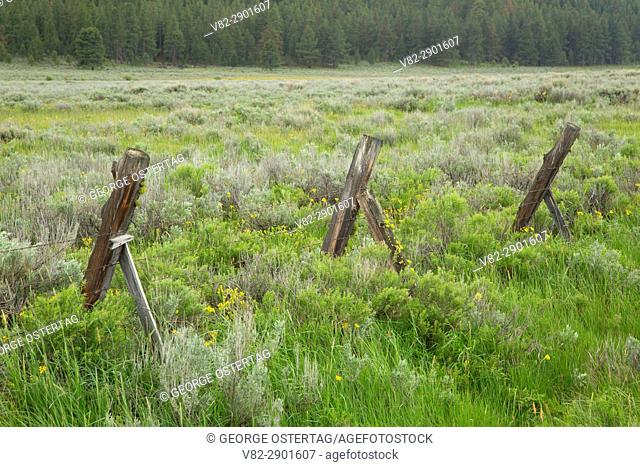Fence in Camas Prairie, Fremont National Forest, Oregon