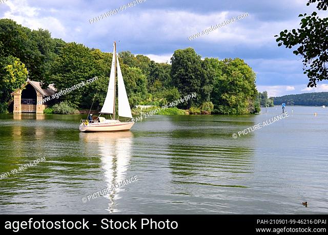 31 August 2021, Berlin: The white sails of a sailing boat passing the Pfaueninsel near the border to Brandenburg are reflected by the water of the Havel
