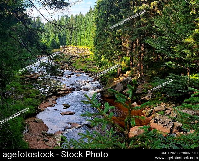 River Jizera in the Jizera Mountains, Czech Republic, August 22, 2023. (CTK Photo/Marek Spilka)