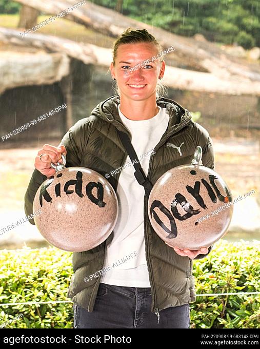 08 September 2022, Hamburg: Alexandra Popp, soccer player, stops at Hagenbeck's zoo in front of the tiger enclosure and holds two play balls for tigers named...