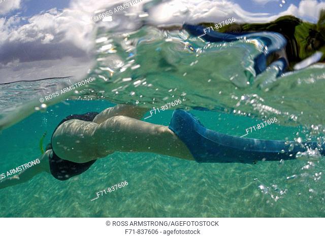 Middle aged women in one piece swim suit snorkelling over sandy on tropical beach. Ha`apai Group, Tonga. South Pacific Ocean