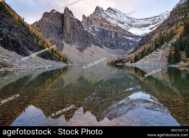 Mount Niblock and Mount Whyte at Lake Agnes with Autumn Larches, Banff National Park, UNESCO World Heritage Site, Alberta, Canadian Rockies, Canada