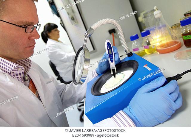 Microbiological count agar plate, Cleanroom Microbiology, Biotechnology Laboratory, Health Area, Alava Technology Park, Technology Centre