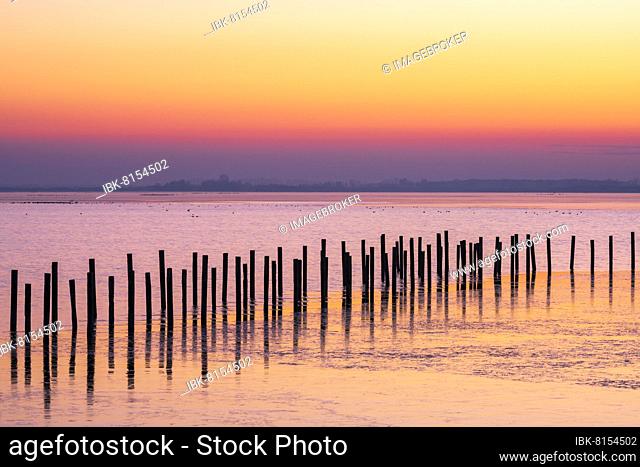 Winter landscape on the shore of Lake Dümmer, sunset, ice rink, silence, Lembruch, Lower Saxony, Germany, Europe