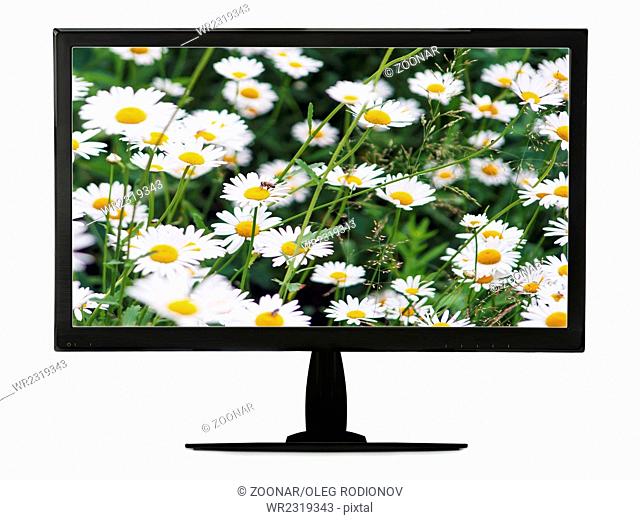Black lcd monitor with flowering meadow isolated o