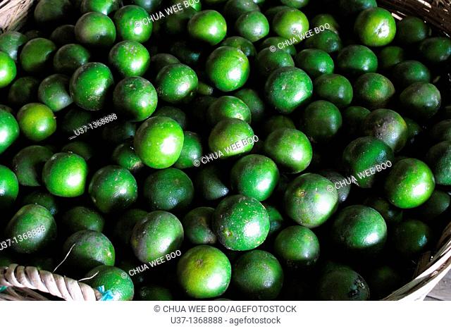 Baskets of green oranges stored at Kampung Semparuk, Western Kalimantan, Indonesia
