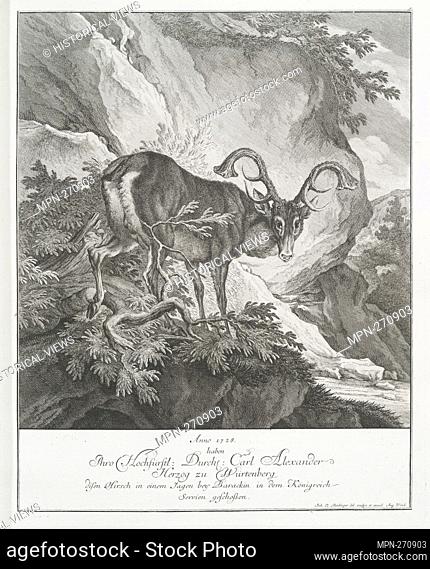 In 1728 Thro Hochfürstl. Carl Alexander Herzog zu Würtenberg shot this deer in a hunt at a barrack in the Servien kingdom