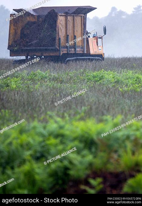 PRODUCTION - 31 July 2023, Mecklenburg-Western Pomerania, Sanitz: In the rain, a caterpillar tractor removes the excavated upper layer of soil, including plants