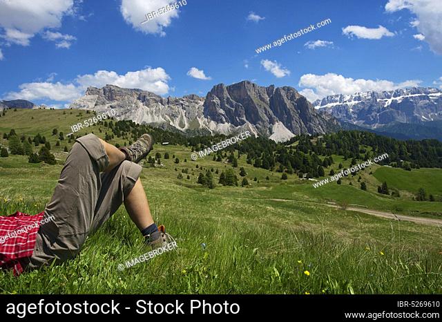 Alpine pasture on the Seceda, Val Gardena, Dolomites, Trentino South Tyrol, Italy, Europe