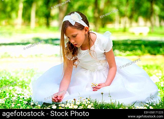 Portrait of cute young girl in white dress picking flowers in field