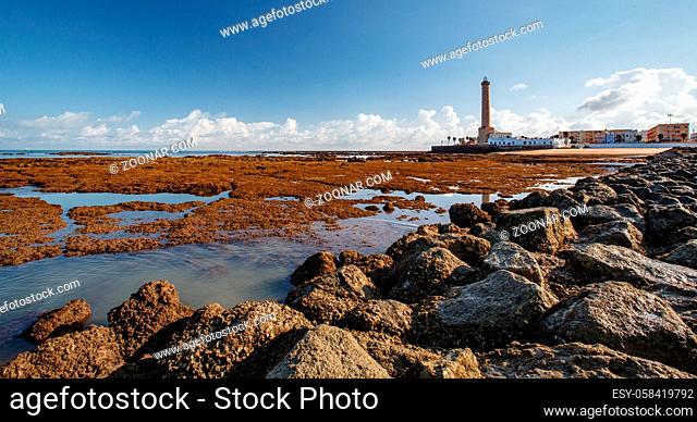 The Chipiona embankment during the morning low tide with a stone breakwater and a coral reef in the foreground. No people