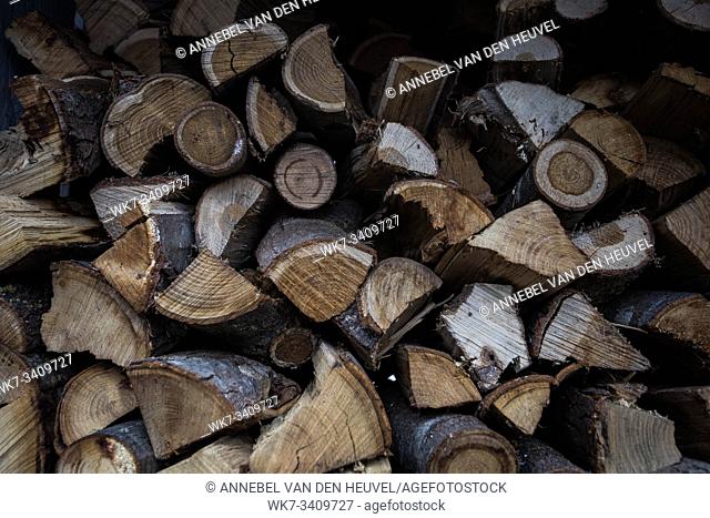 Wall of stacked wood logs as background dark shadows nature
