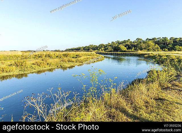 La Guittière, 's marshes, Talmont St Hilaire, Pays de Loire, Vendée, France