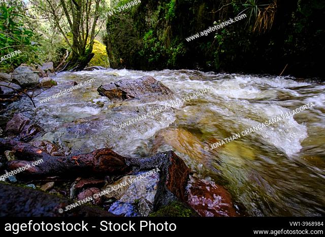 Beautiful landscape of inter-Andean forest where a stream of water runs that forms waterfalls and a small river