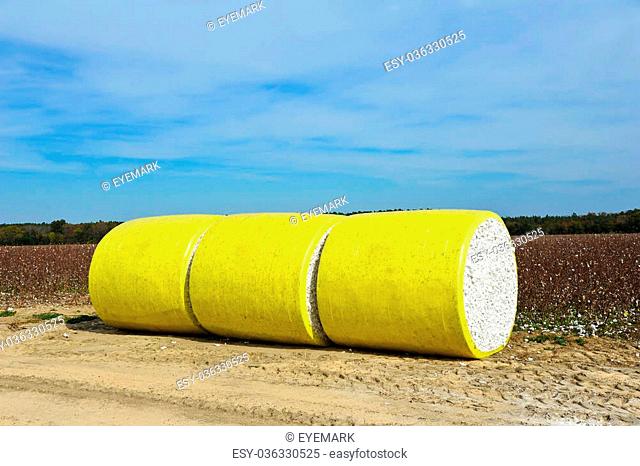 A Round Bale of Harvested Cotton Wrapped in Yellow Plastic Sirtting in the Field
