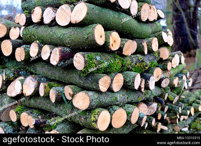 Stacked firewood for wood storage