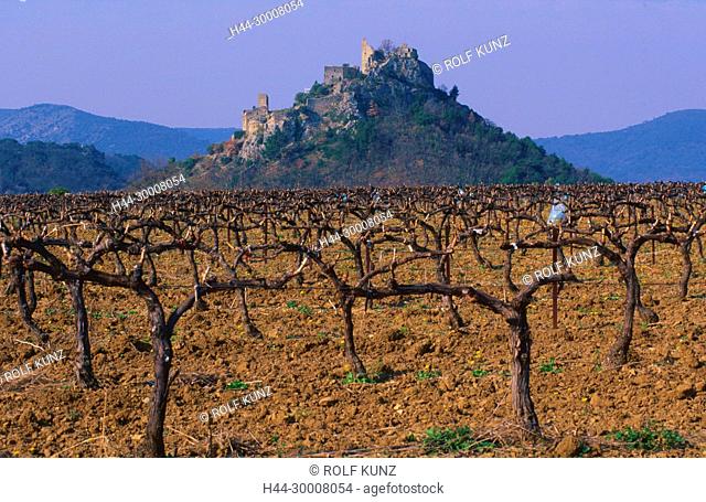 Schloss, Hügel, Rebberg, Entrechaux, Departement Vaucluse, Provence, Frankreich