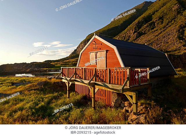 Typical red Rorbuer huts, rorbu, illuminated by warm evening light near Straume on the island of Langøya, Langoya, part of the Vesterålen